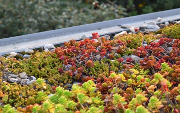 the cost of Whitmore Park green roof installation