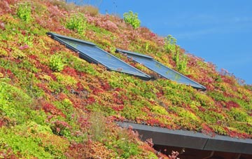 Whitmore Park living roof systems